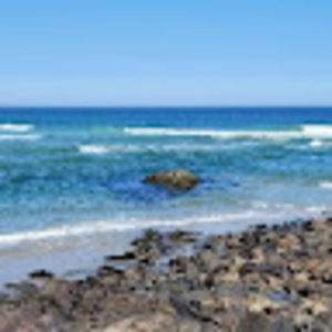 Meet your Posher, Anne